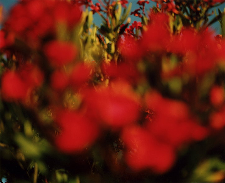 lee-whitakker-photography-itsnicethat-17.jpg