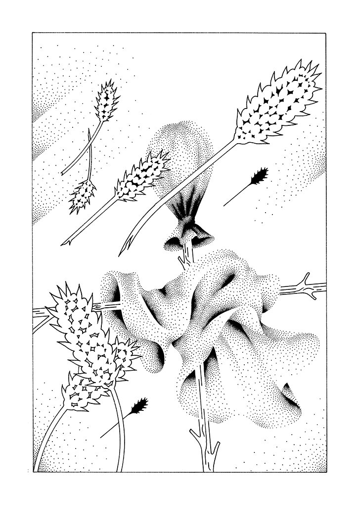 jul-quanouai-illustration-itsnicethat-22.JPG