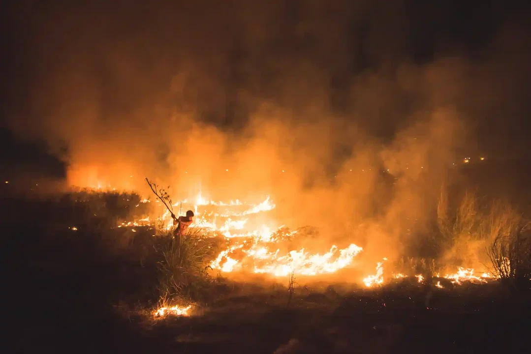 Winners of the Environmental Photographer of the Year 2021 announced at Cop26