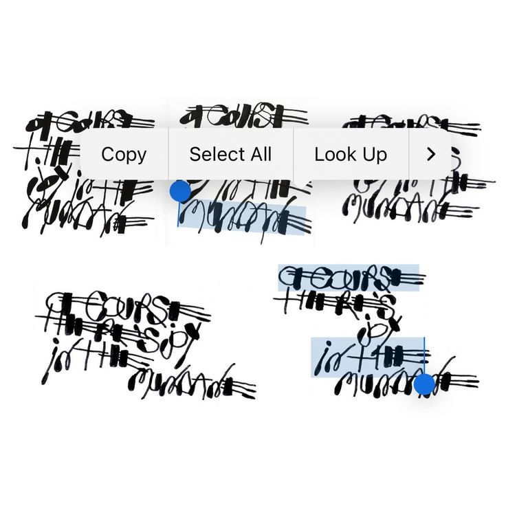 61ad10de87136f0f6d554e7b3e858e29.jpg