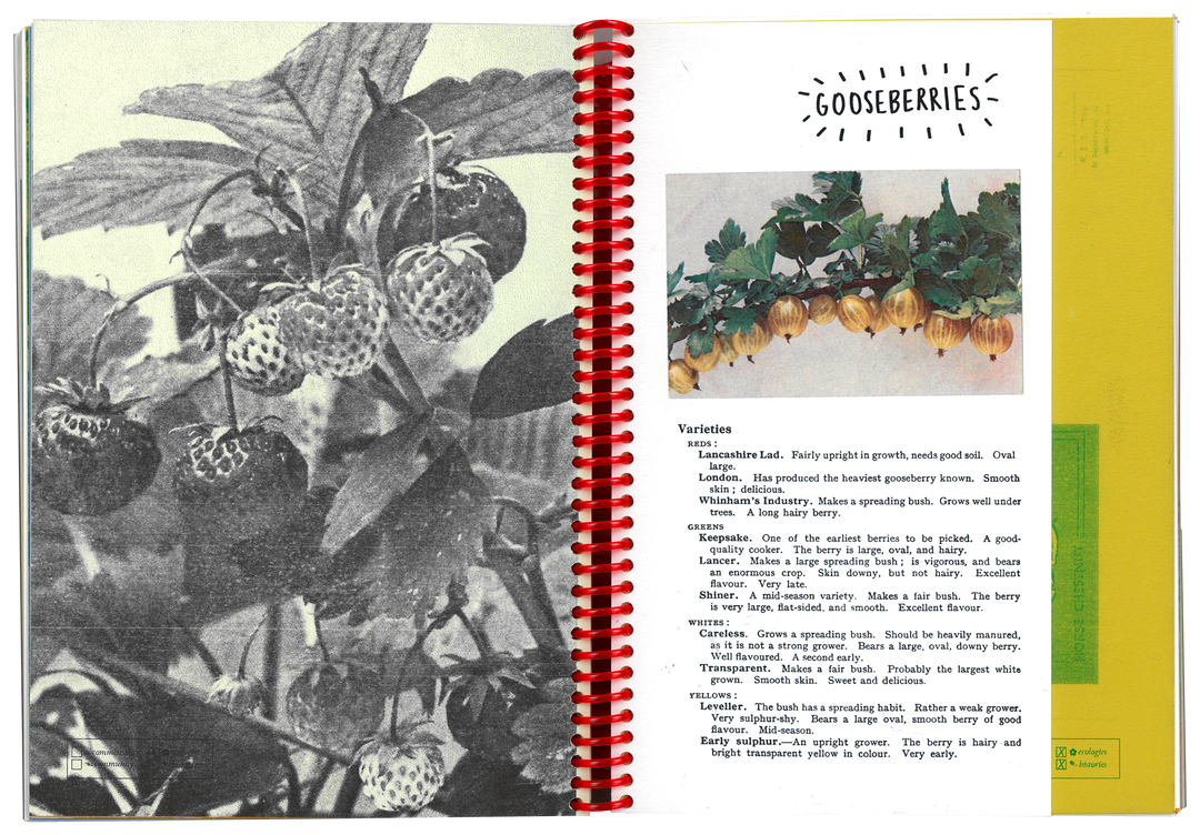 holly-eliza-temple-gd-itsnicethat02