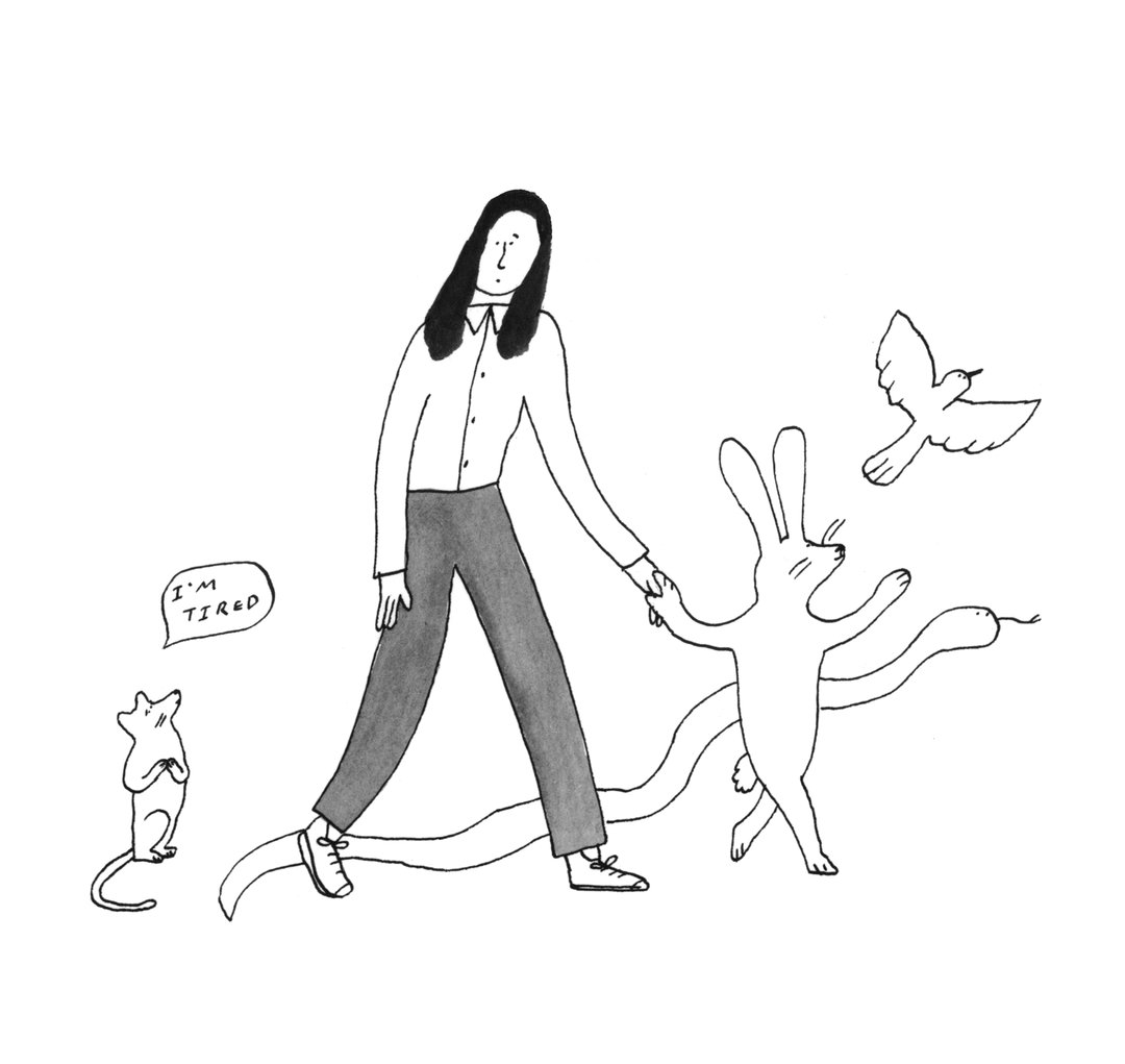 7 Charlotte ager, Illustration from zoo,2022.jpg
