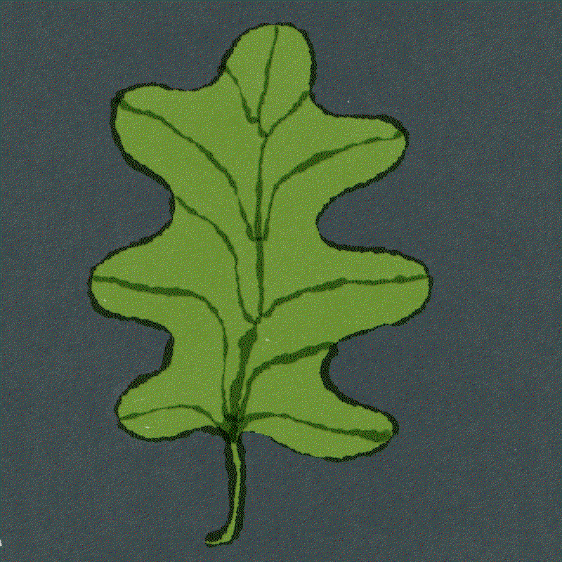 Orysia-Zabeida-animation-discover-itsnicethat-11