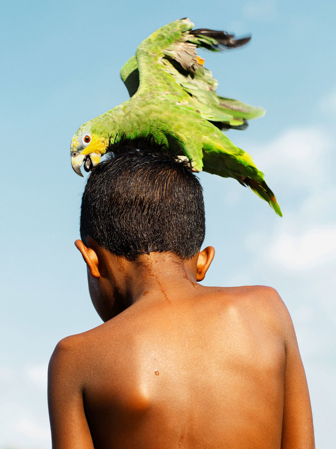 gleeson-paulinio-pho-itsnicethat02