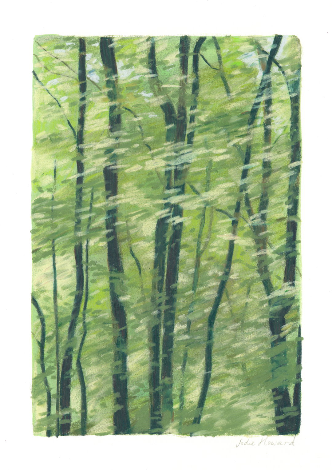 jodie-howard-illustration-discover-itsnicethat-07