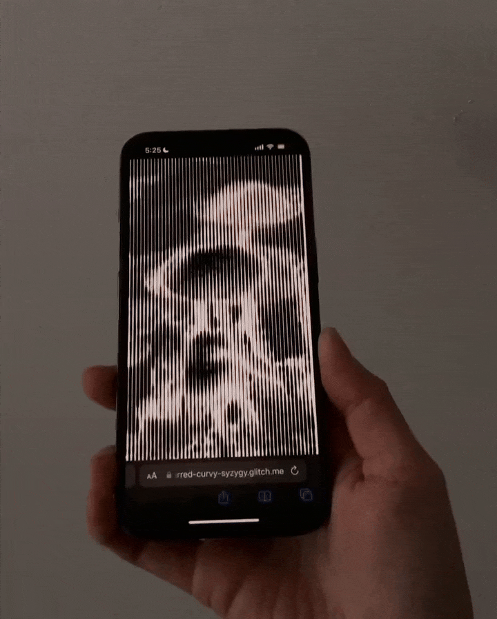 9.MUSHROOM-ezgif.com-optimize.gif