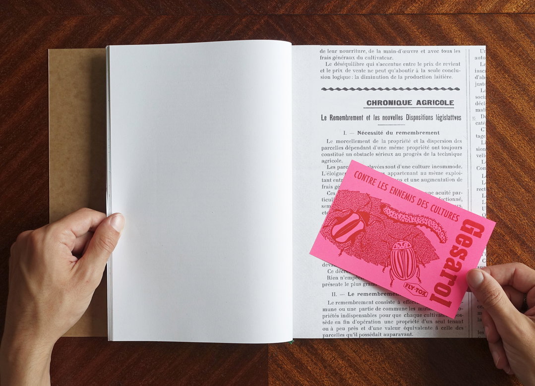 sarah-salome-graphic-design-discover-itsnicethat-07