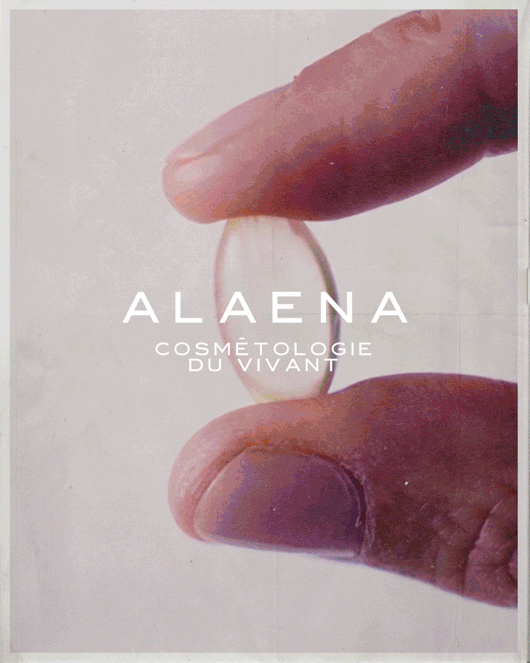 odds-studio-alaena-branding-project-itsnicethat-01
