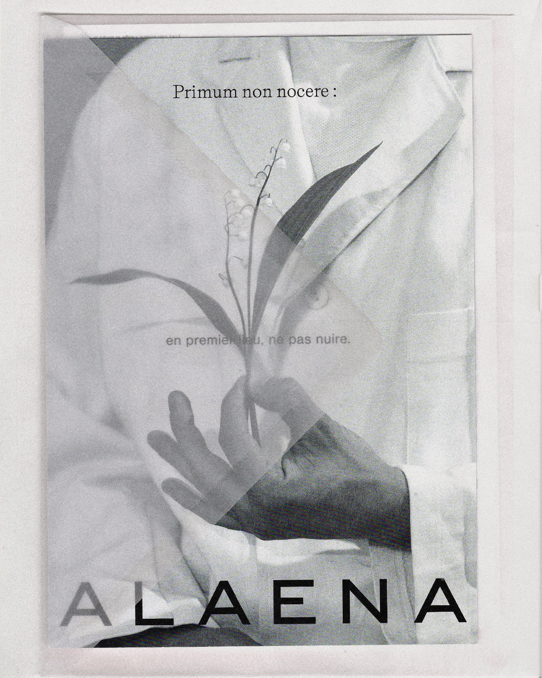 odds-studio-alaena-branding-project-itsnicethat-06