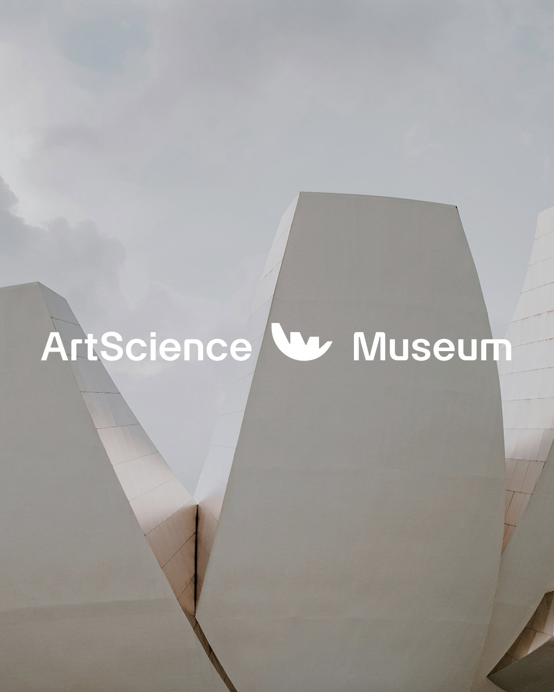 project-3-art-science-museum-itsnicethat-07