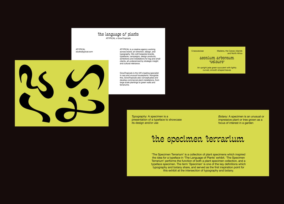 atypical-gd-itsnicethat03