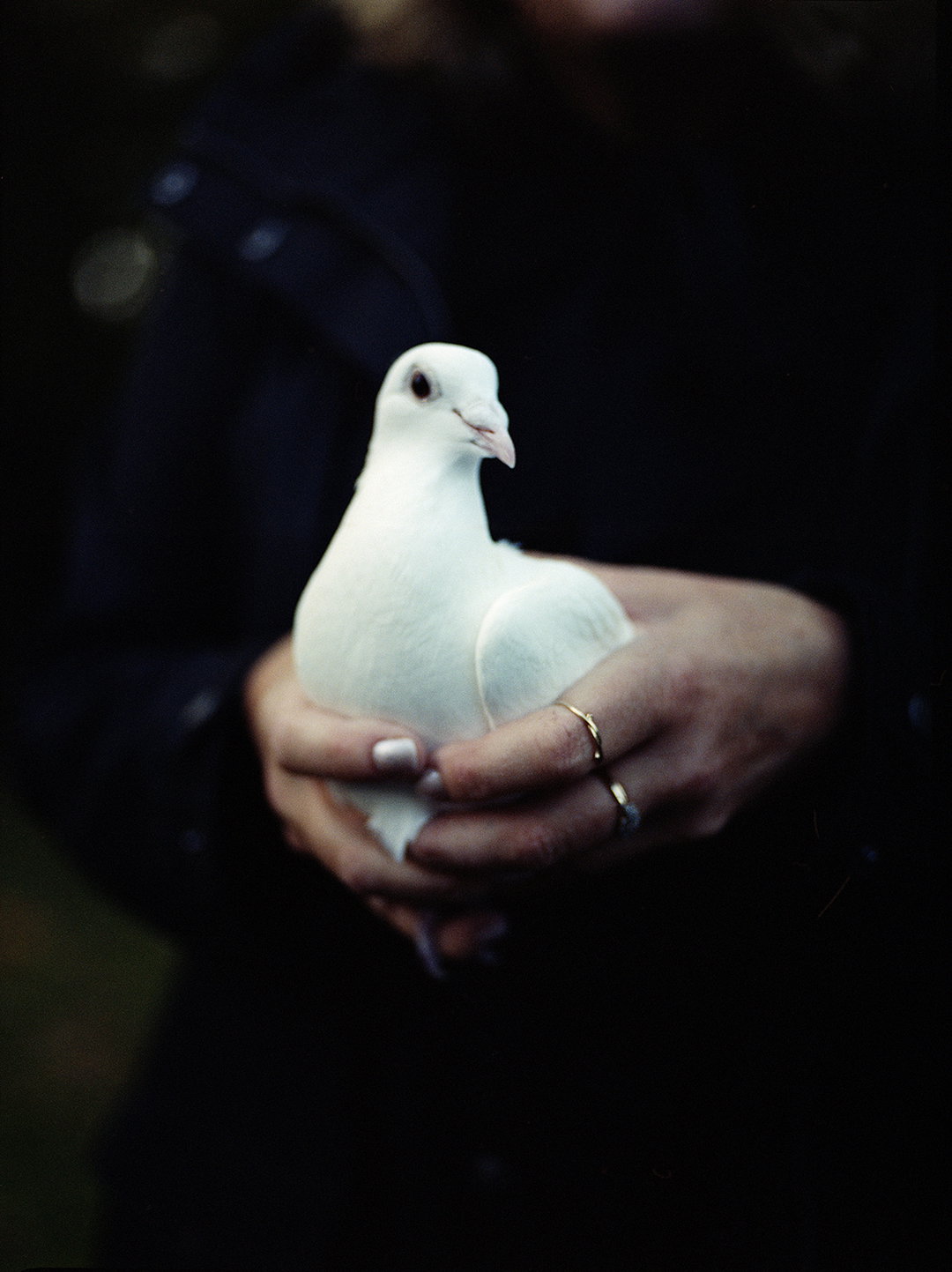 megan-eagles-last-offices-photography-itsnicethat-02
