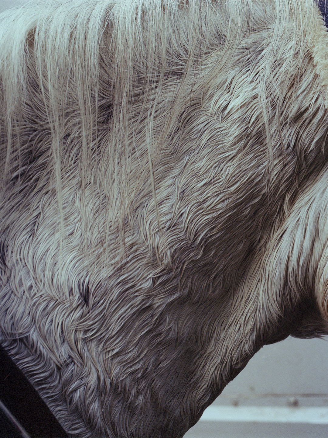 megan-eagles-last-offices-photography-itsnicethat-03