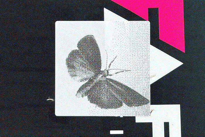 Adrian Hanft Animator Moth-Graffiti-Animation-700x467px.gif