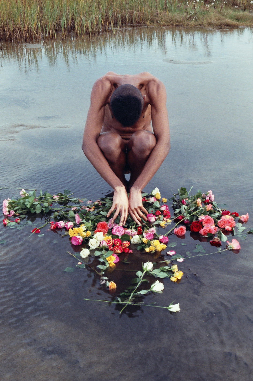 Agua-Denisse-Ariana-Perez-photography-work-itsnicethat-9.jpg