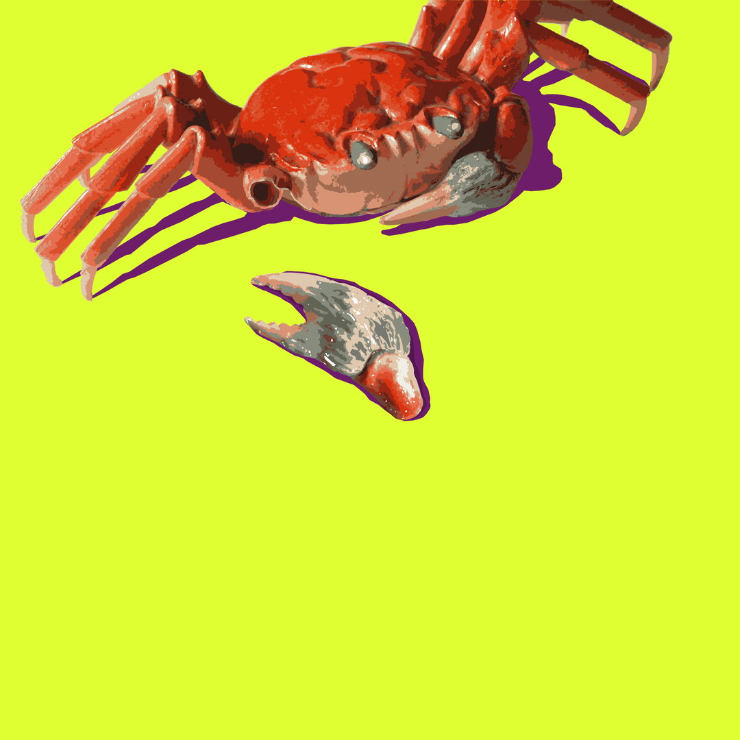 Ai Weiwei_ Bennie _ The Jets_secret 7_record_covers_art_itsnicethat.jpg