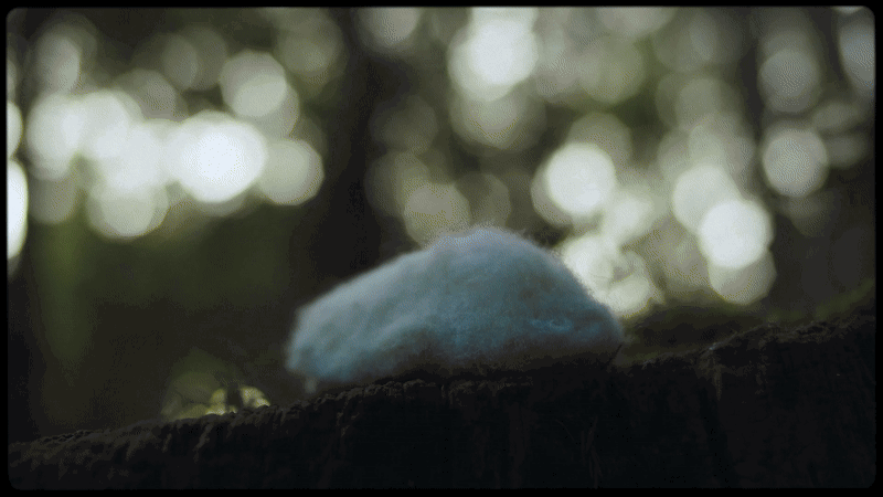 Isabel-Garrett-Blinkink-Coldplay-rainbow-film-spotlight-itsnicethat-15