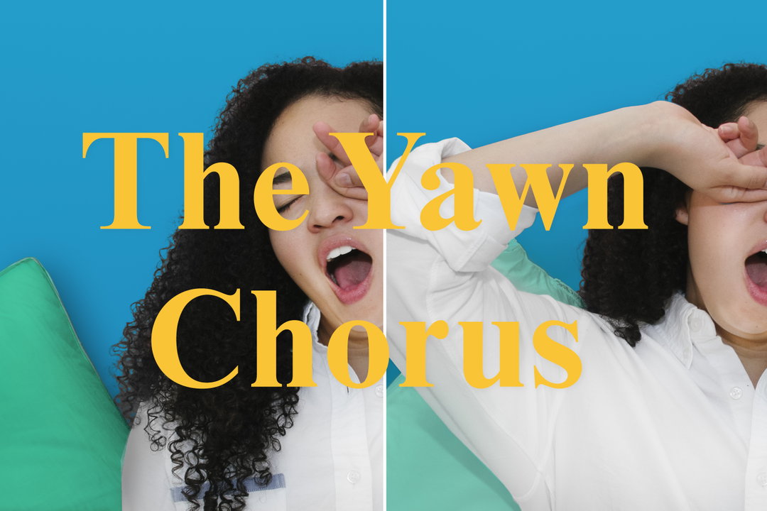 Alex Rothera uses audio, video, and AI to create an interactive orchestra of yawns