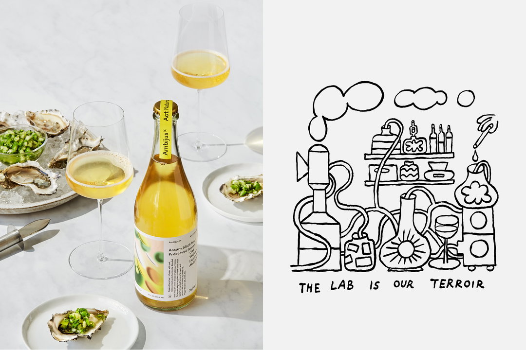OlssønBarbieri-Ambijus-GraphicDesign-itsnicethat.jpg