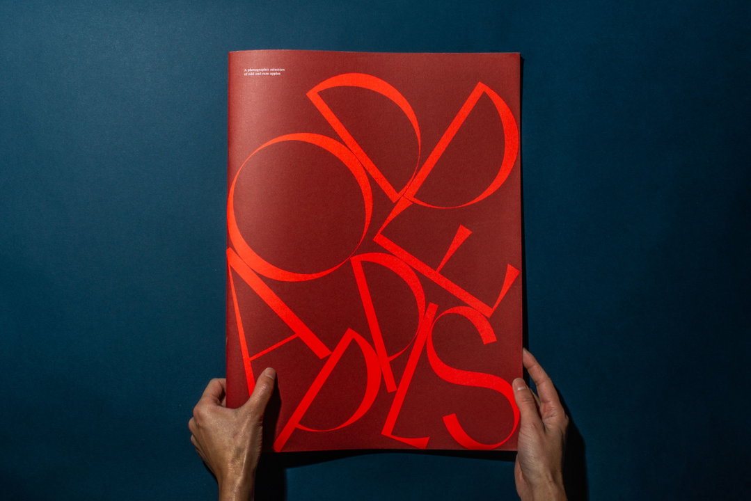 Andrea-alfonso-trabucco-campos-graphic-design-itsnicethat-7.jpg