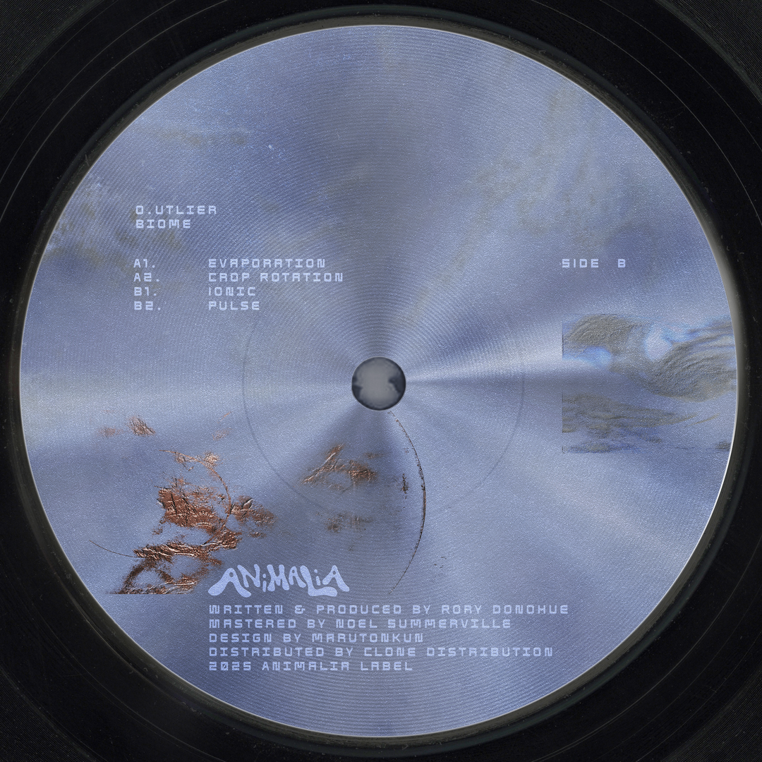Anima 3.2.png