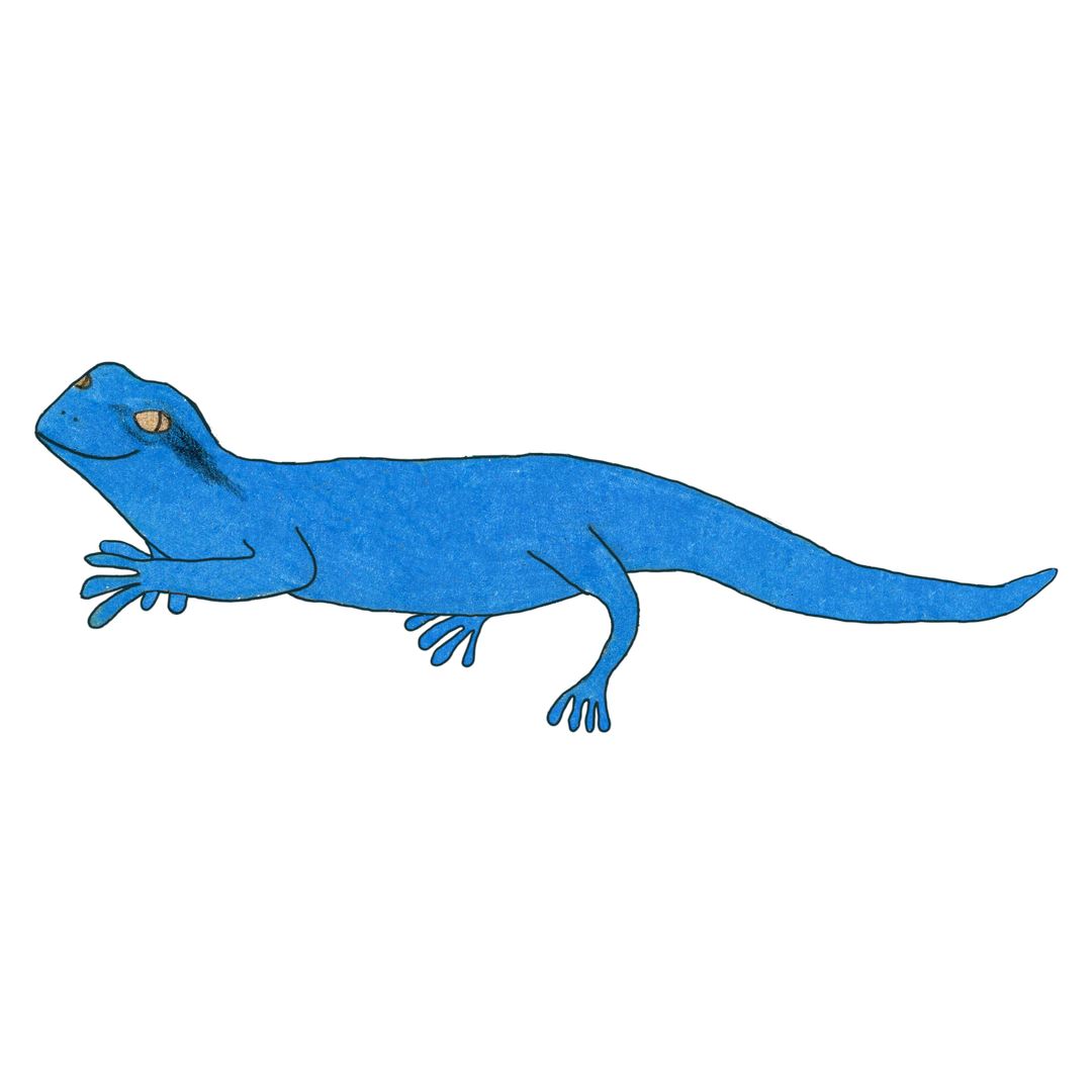 Animal Spot Illustrations-1.png
