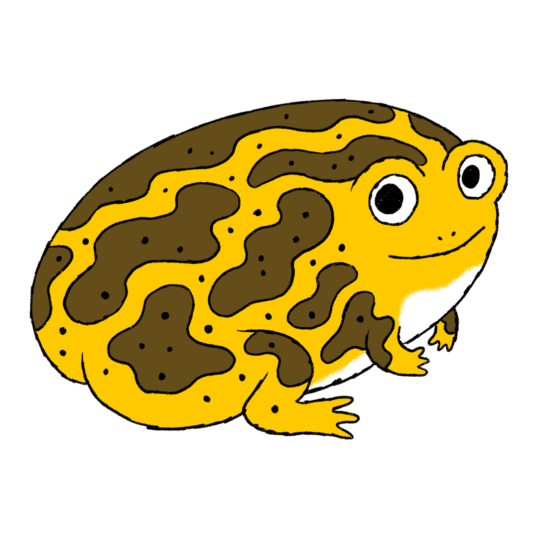 Animal Spot Illustrations-2.png