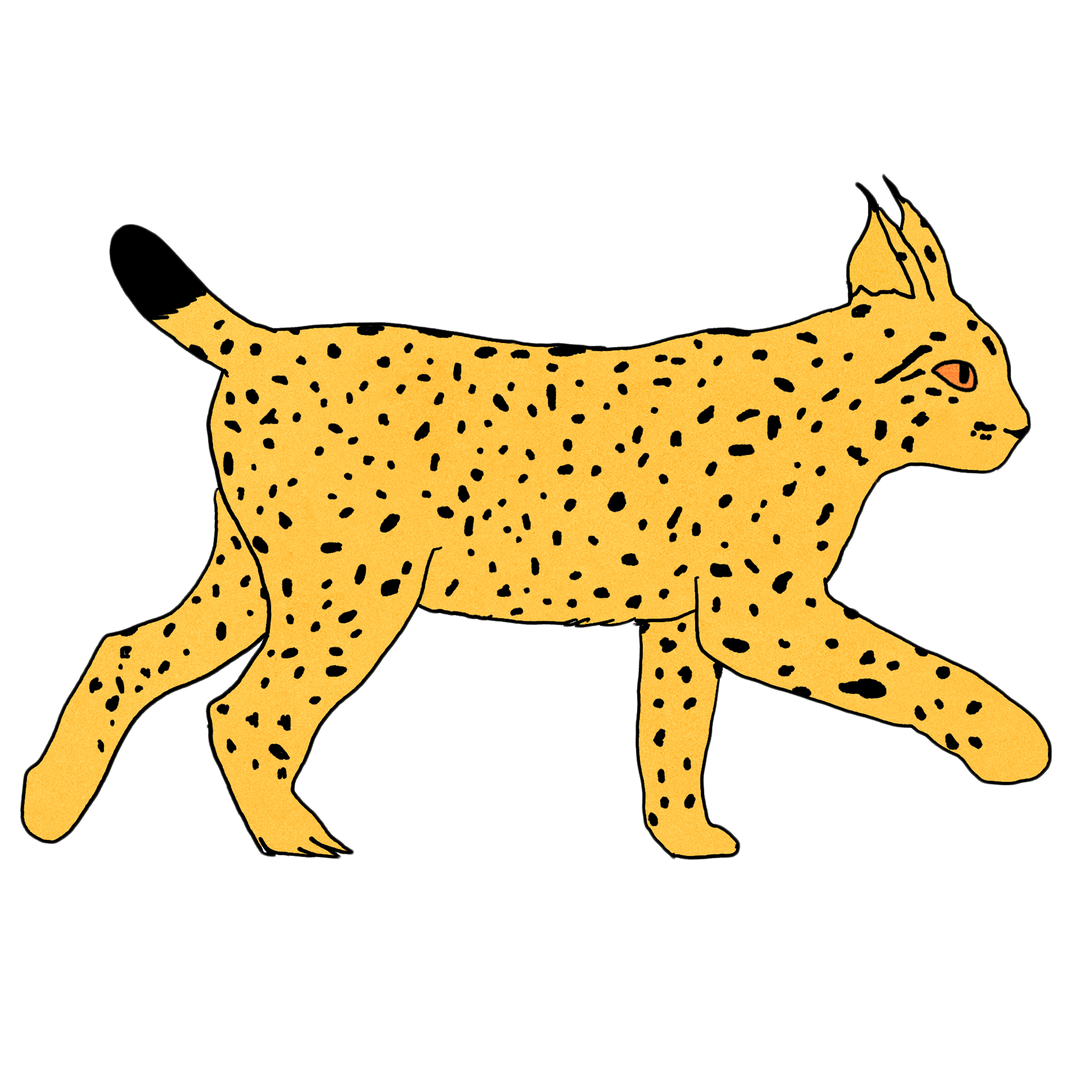 Animal Spot Illustrations-3.png