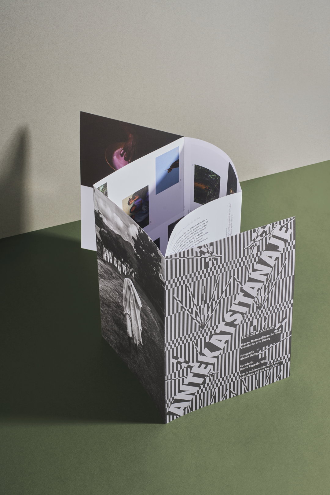 veraluciájiménez-gd-itsnicethat02
