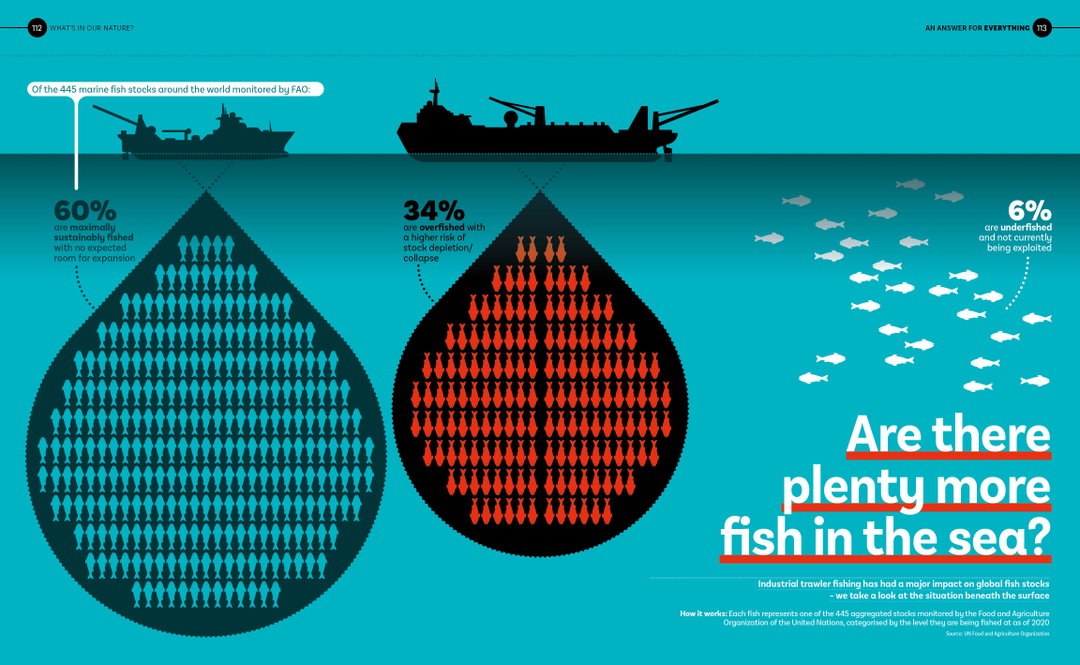 Are there plenty more fish in the sea_.jpg