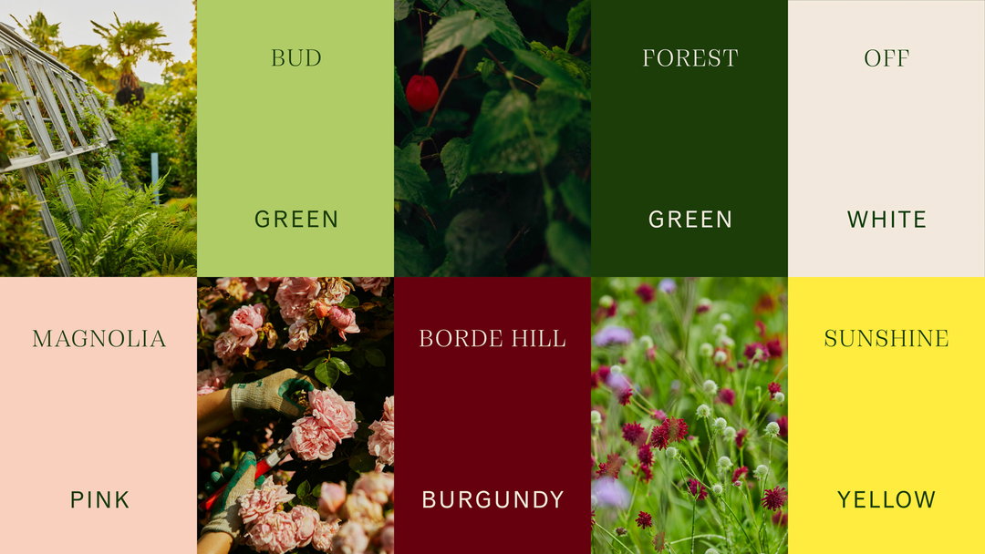 BH_COLOUR_PALETTE-01.jpg