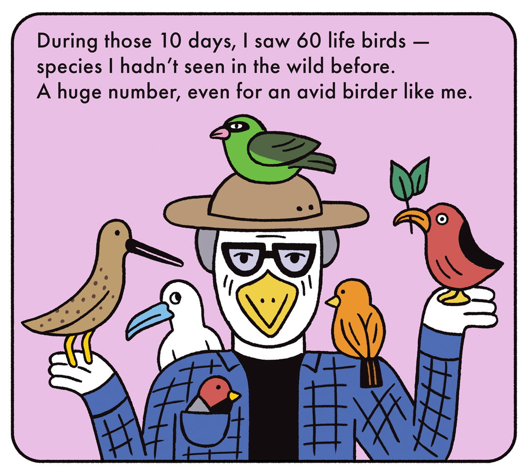 Andy-Rementer-birdingmywaythroughchemo-illustation-itsnicethat-14