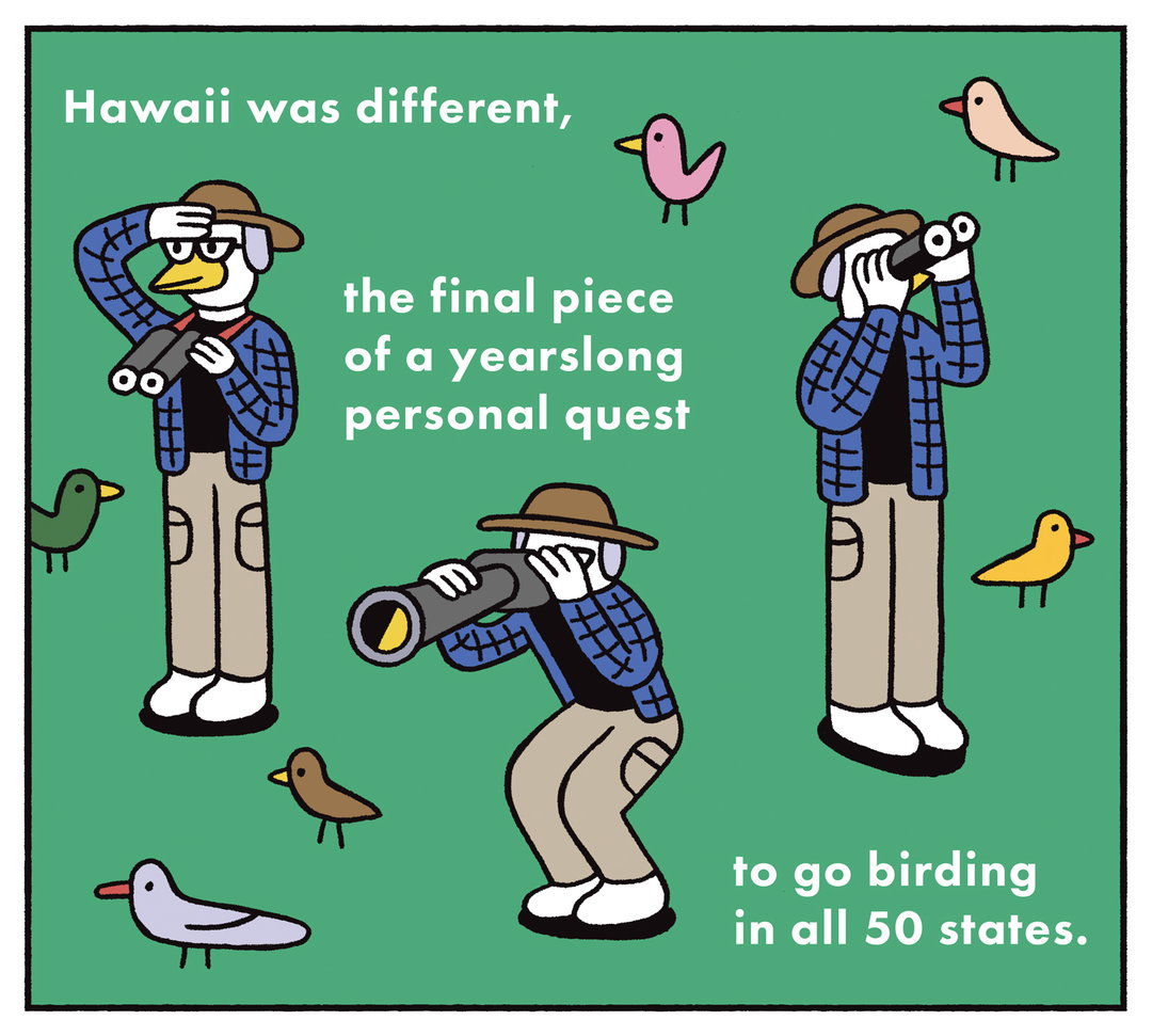 Andy-Rementer-birdingmywaythroughchemo-illustation-itsnicethat-11