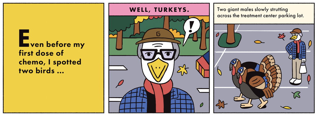 Andy-Rementer-birdingmywaythroughchemo-illustation-itsnicethat-02