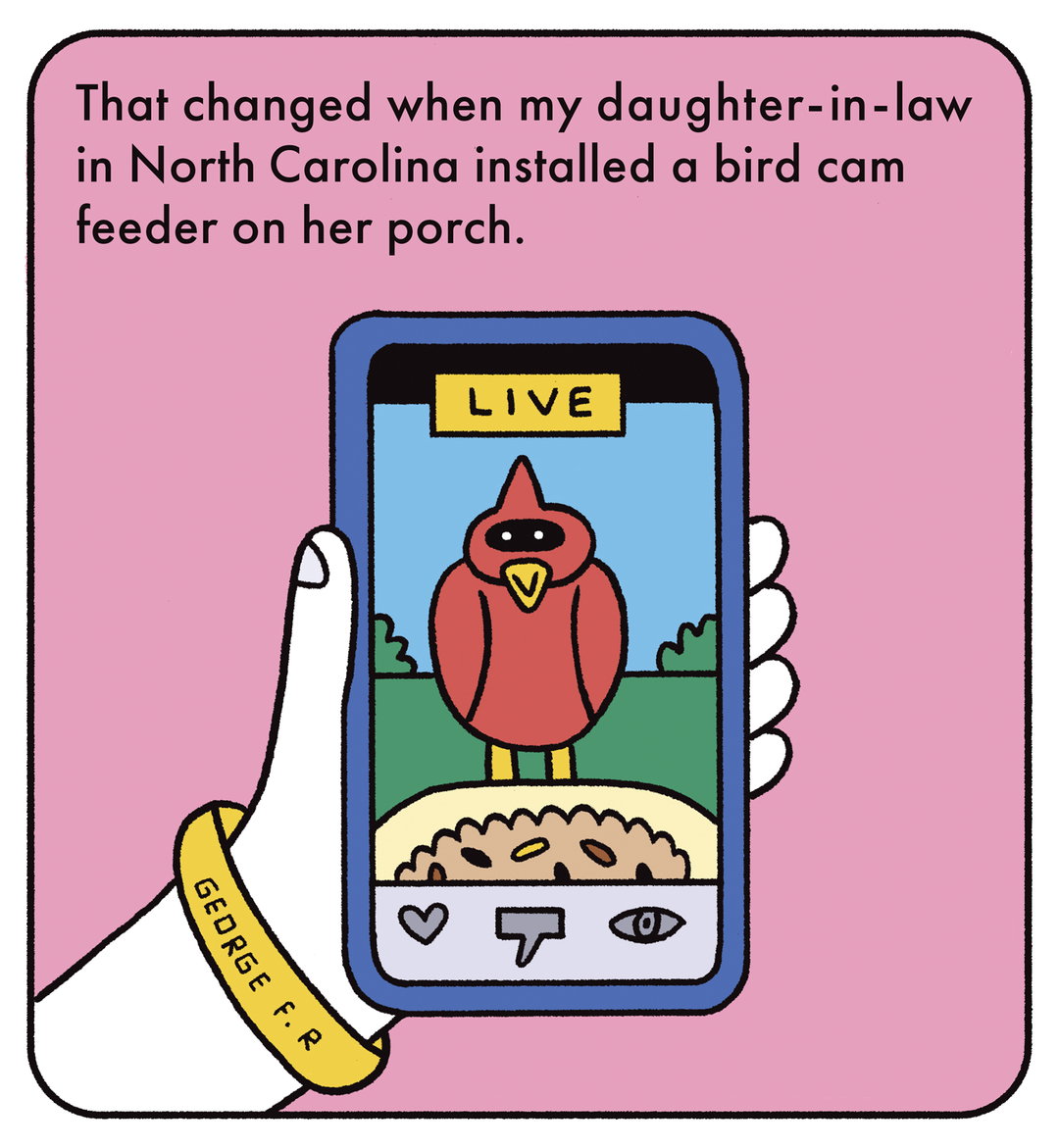 Andy-Rementer-birdingmywaythroughchemo-illustation-itsnicethat-06