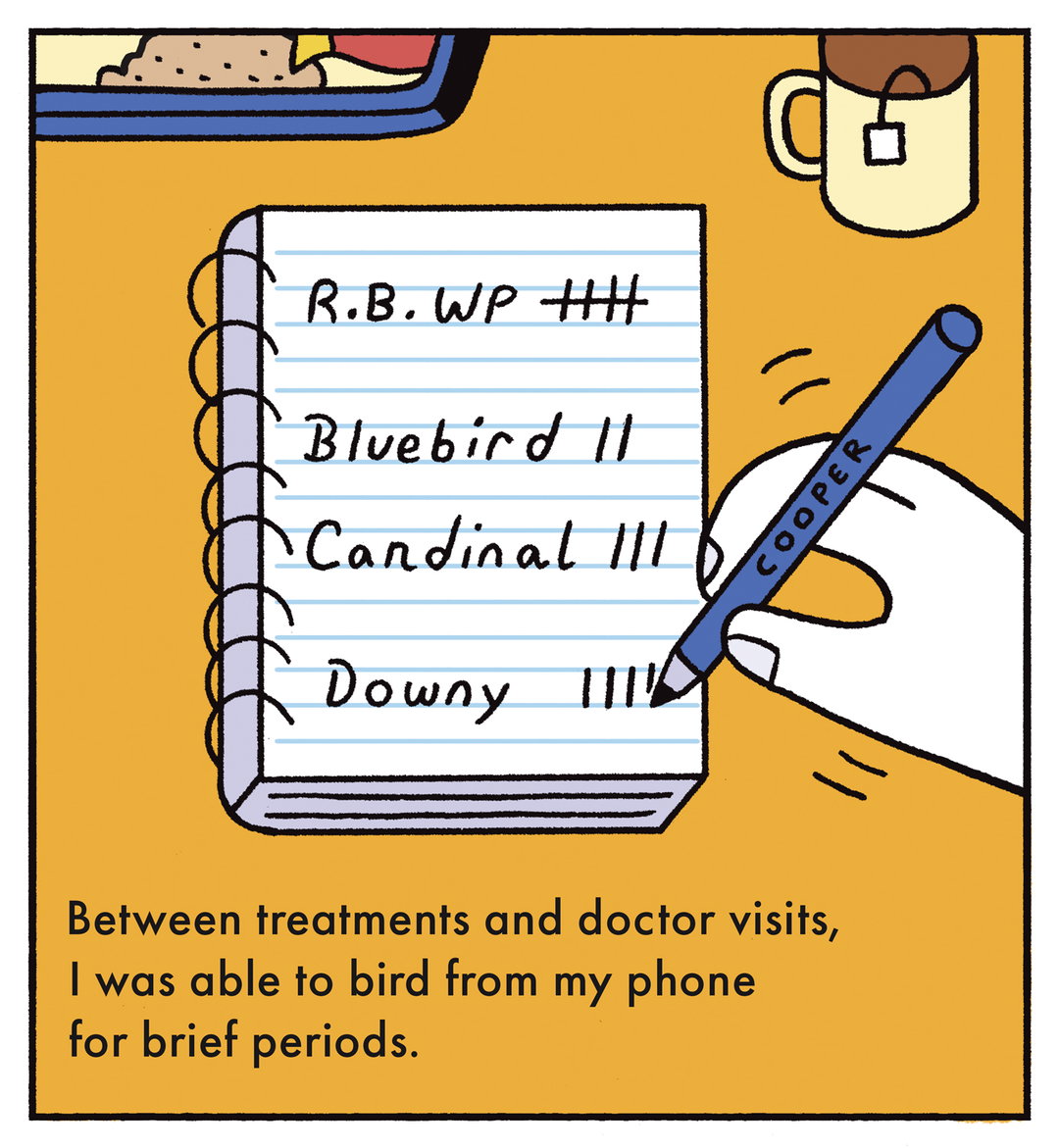Andy-Rementer-birdingmywaythroughchemo-illustation-itsnicethat-03