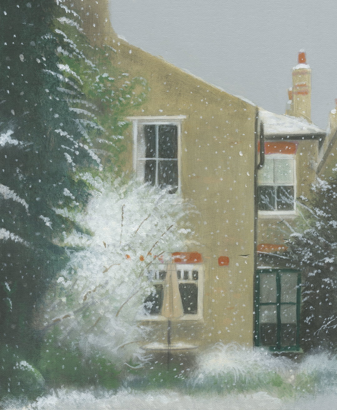 Back of the house snowfall  copy.jpg
