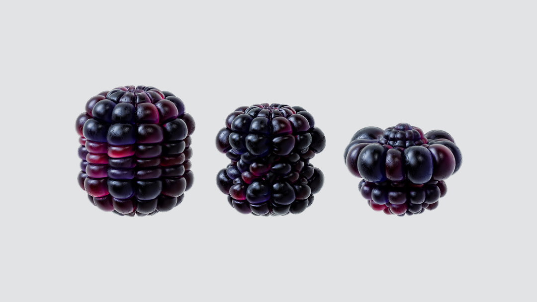 joseph-toreki-tutti-frutti-art-itsnicethat-03