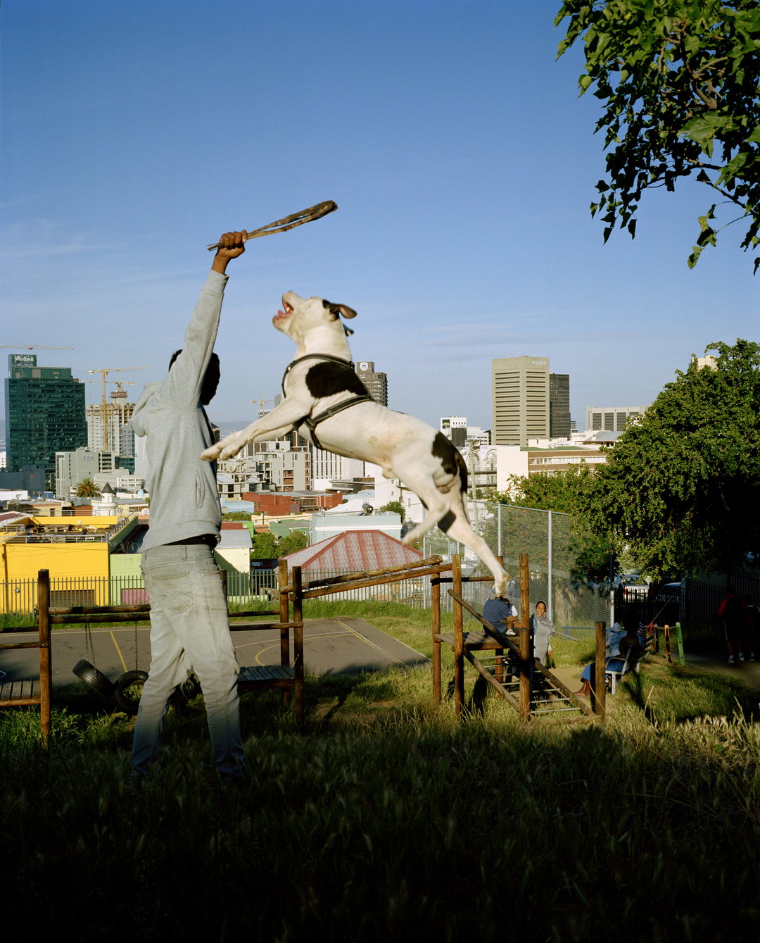 WilliamSheepskin-BoKaap-Photography-itsnicethat-05.jpg