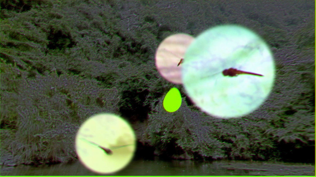 Butt Studio_Tame Impala_Screenshot_itsnicethat-animation-5.jpg