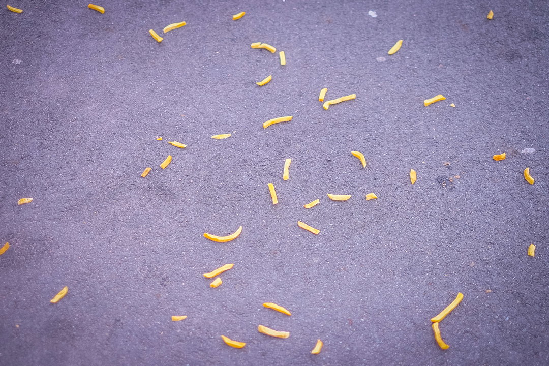 Buvettes-photography-itsnicethat-08