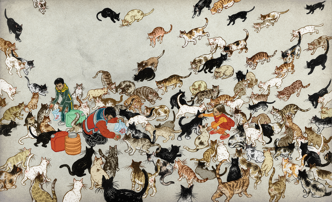 CATMAN_22-23_rev_5-28.png