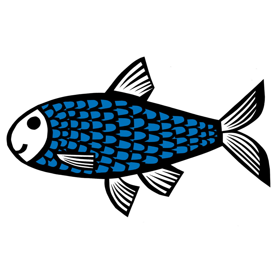 CBTR Fish Logo 1 copy.jpg