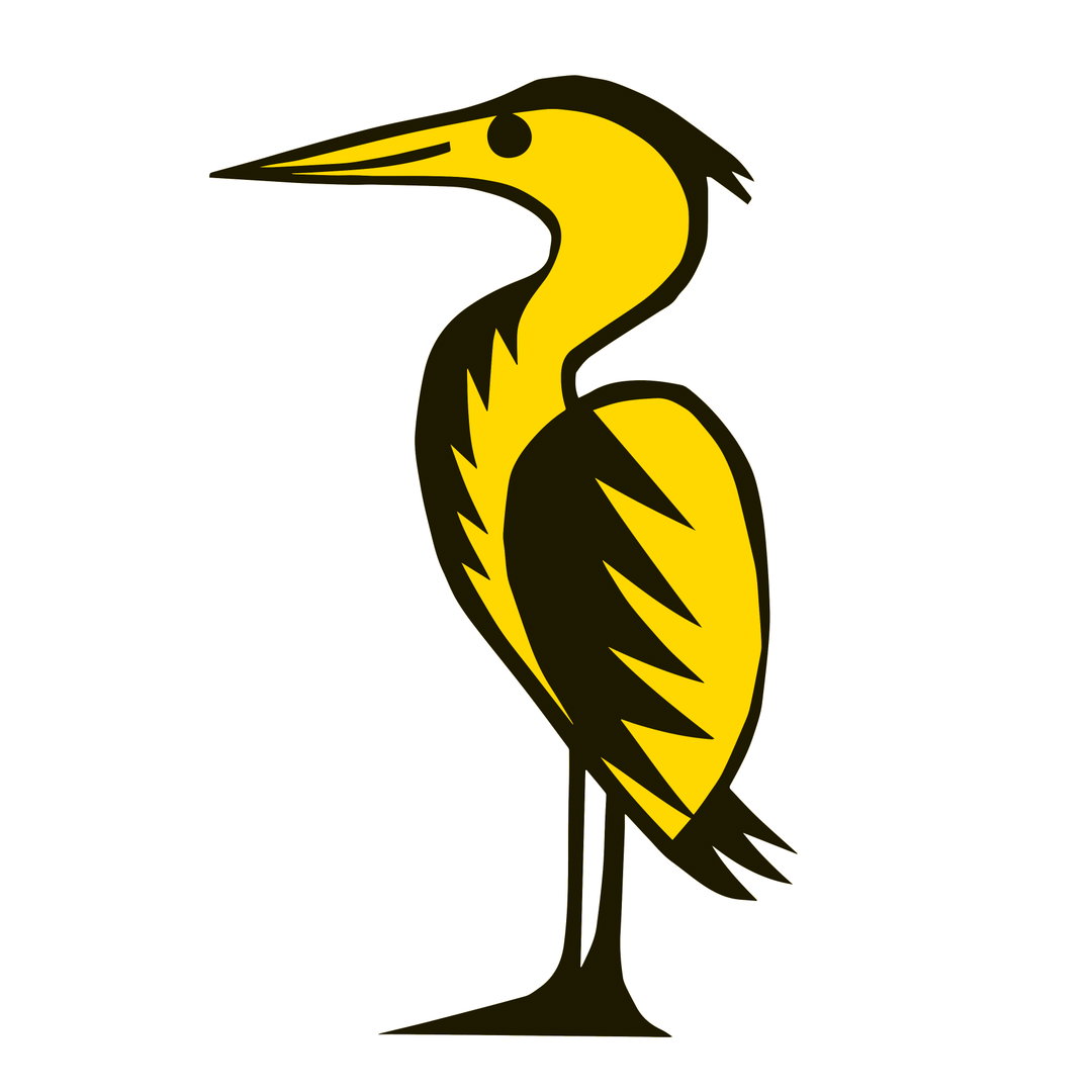 CBTR Heron.jpg