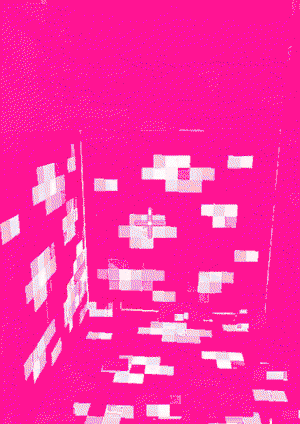 CCT_INT_MC_TEST_2.gif