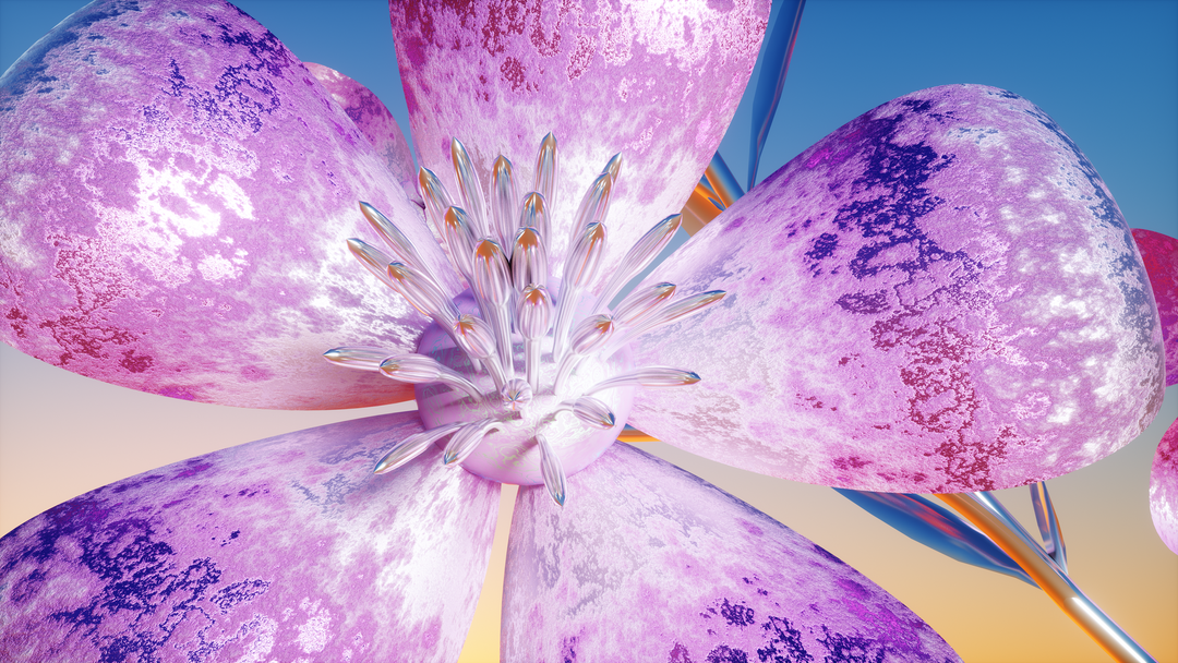 CC_INTxConran_Still1.png