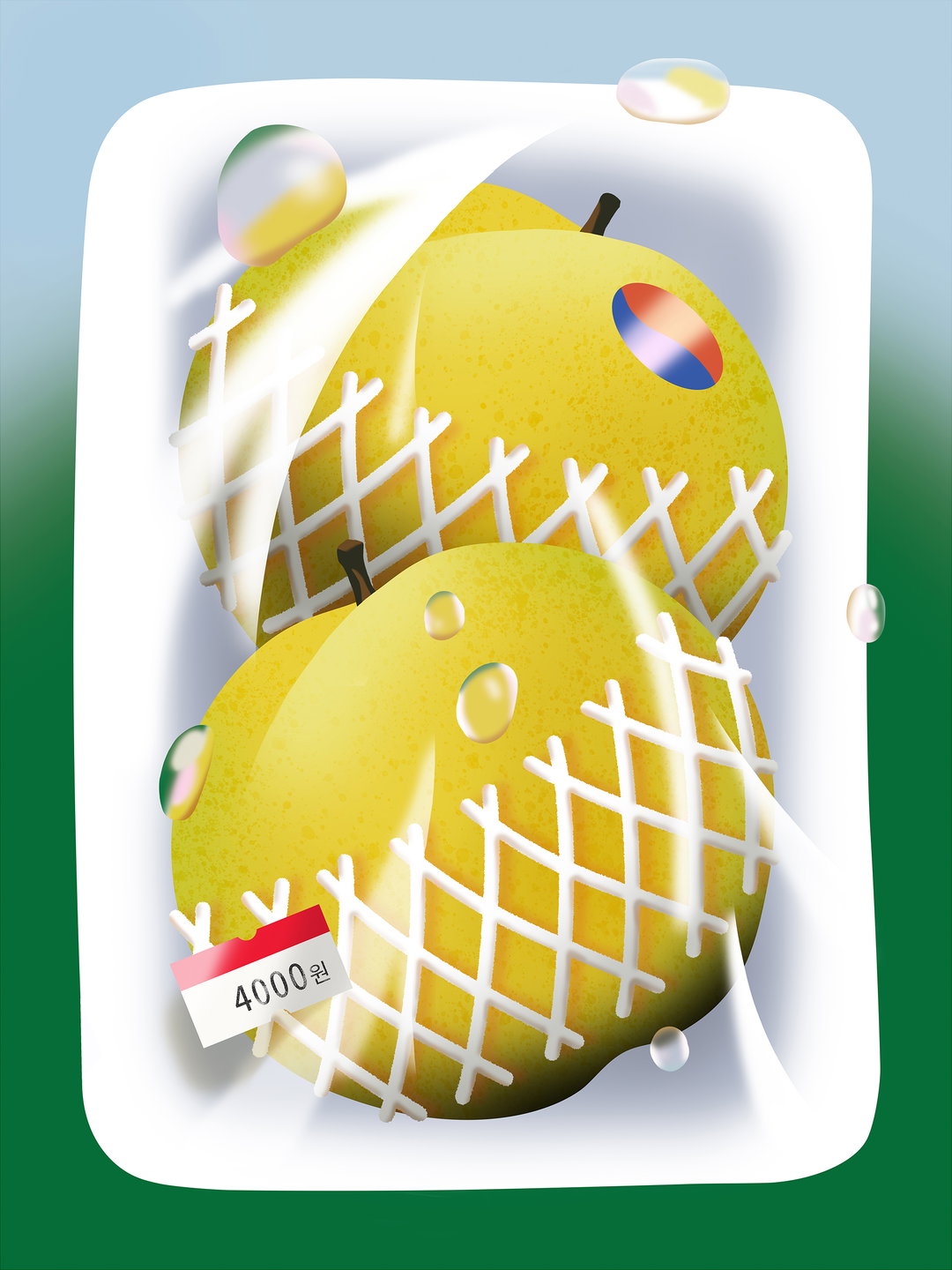 CHA-korean-pears_illustration_itsnicethat.jpg