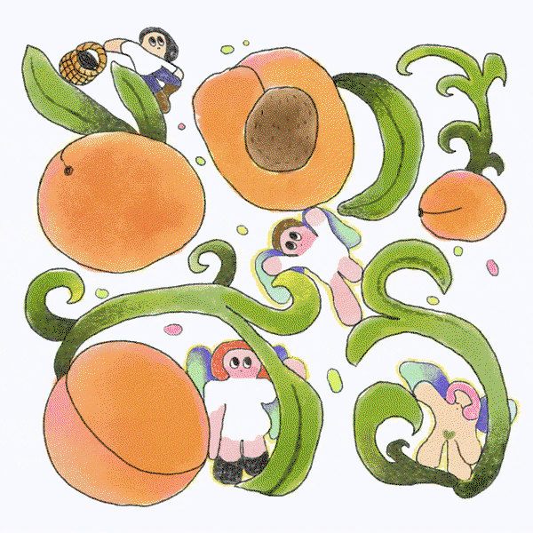 Cécile Cuny-Illustration-itsnicethat-11.gif