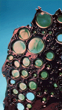 Cecile Poupon-itsnicethat-1.gif
