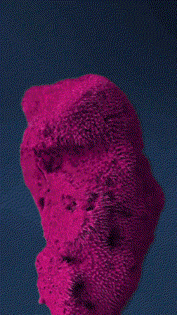 Cecile Poupon-itsnicethat-2.gif
